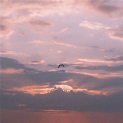 易倍下载手机版