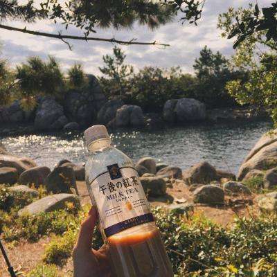 NG体育·(南宫)下载手机版